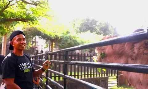 Siantar Zoo: Terbiasa dengan Puspa Lelaku Primata