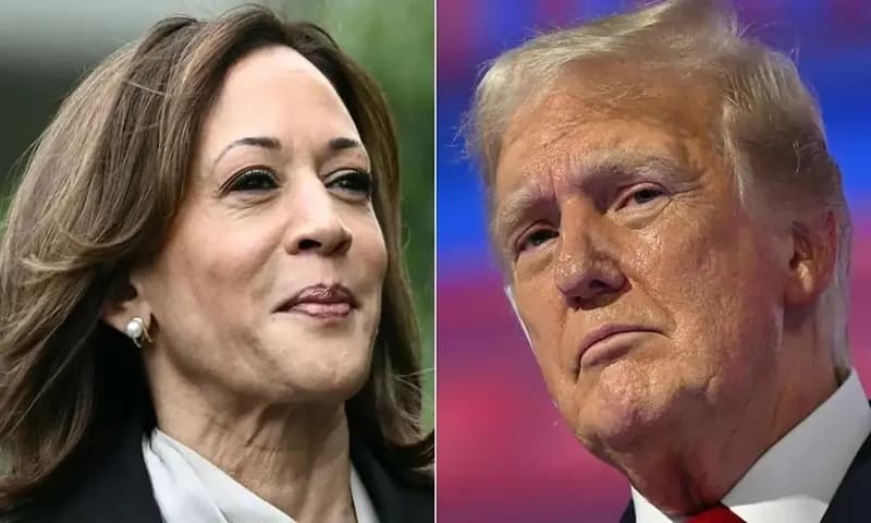 Dua kandidat calon presiden AS, Kamala Harris dan Donald Trump. (Foto: AFP/Patrick T Fallon)